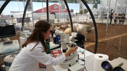 Türkiye tarımında yeni çağ: Otonom Çiftlikler dönemi başlıyor