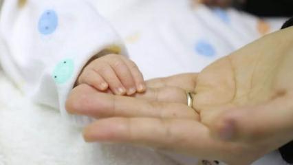 300 binden fazla aileye doğum yardımı desteği! Aslan payı ilk &ccedil;ocuğa gitti