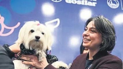 CHP'li Sinem Dedetaş'ın belediye imkanlarıyla k&ouml;peğine yaptığı masraf tepki &ccedil;ekti