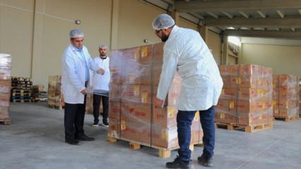 Devlet desteği ile kurdu: Van'dan Dubai'ye 16,5 ton bal ihracatı yaptı