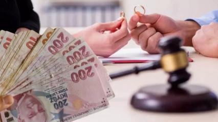 Ali Rıza Demircan'dan h&uuml;k&uuml;mete nafaka teklifi!