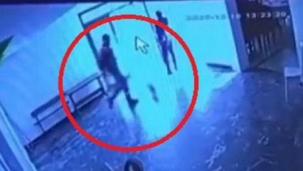 Belediyeye ait tesiste kediye tekme attı