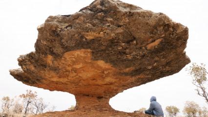 Diyarbakır'da buzul &ccedil;ağ kalıntısı: Tam 6 milyon yıl &ouml;nceye ait