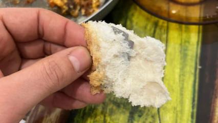  Ekmeğin i&ccedil;inden &ccedil;ıkanı g&ouml;r&uuml;nce şoke oldu