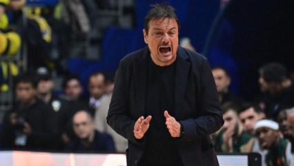 Ergin Ataman'dan Fenerbah&ccedil;e taraftarlarına olay tepki! "10 bin eğitimsiz taraftar"