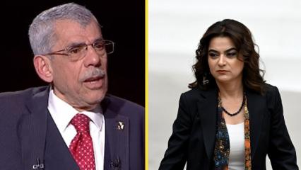 Sur'un eski Belediye Başkanı Toptancı'dan DEM'li Ko&ccedil;yiğit'e: Bakan Kurum'a minnettarız