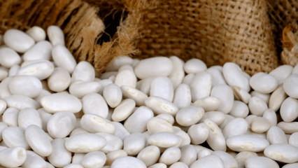 Fasulyeden gelen &ouml;l&uuml;m!