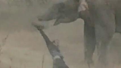 Hindistan&rsquo;da fil s&uuml;r&uuml;s&uuml;nden korkun&ccedil; saldırı: 4 &ouml;l&uuml;, &ccedil;ok sayıda yaralı var