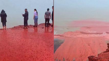 İran&rsquo;da &lsquo;kan kırmızısı&rsquo; dalgalar sosyal medyayı salladı: Kehanet mi, bilim mi?