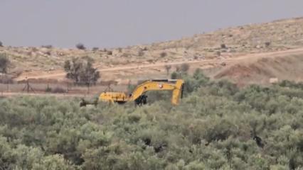 İsrail, 'g&uuml;venlik' bahanesiyle 400 zeytin ağacını s&ouml;kt&uuml;