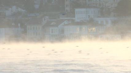 İstanbul Boğazı'nda ilgin&ccedil; g&ouml;r&uuml;nt&uuml;: Denizden buhar y&uuml;kseldi