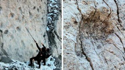 İtalya'da heyecanlandıran keşif! Bu izler tam 210 milyon yıllık!