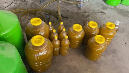 Kara meyveden altın sıvıya yolculuk: 6 kilodan 1 kilo &ccedil;ıkıyor