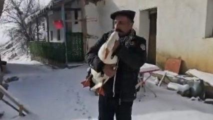 Kazdan helallik istedi: Misafir gelmiş, g&ouml;z&uuml;n&uuml; sana dikmiş