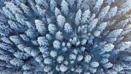 K&uuml;re Dağları&rsquo;nda kartpostallık kış manzaraları