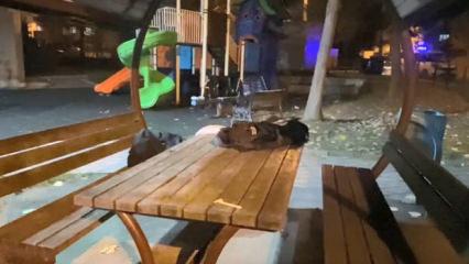 Liselilerin kavgası kanlı bitti! Bir &ouml;ğrenci yaralı