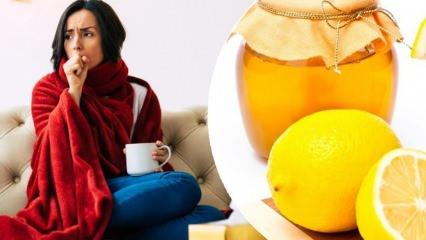 Manchester &Uuml;niversitesi'nden uzman isim sıraladı: &Ouml;ks&uuml;r&uuml;ğe karşı en etkili besinler!