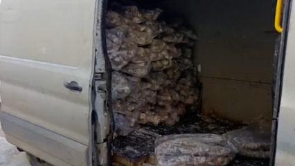 Manisa'da mide bulandıran g&ouml;r&uuml;nt&uuml;ler! Değeri 4 milyon değerinde!