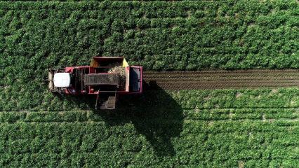 Mezra ziraat 2025 yılında 22 bin 500 dekara ulaştı!