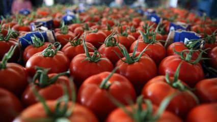 MHP'li Durgun a&ccedil;ıkladı: İhracatta pestisit verileri kamuoyuyla paylaşıldı