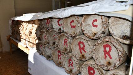 Misafir odasında muhafaza ediliyor: Kilogramı 10 bin TL