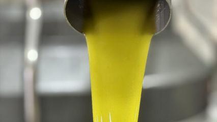 Muhtara kalan miras köylüye iş kapısı açtı