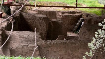 Tarla gece g&uuml;nd&uuml;z korunuyor! Bilinen tek &ouml;rnek g&uuml;n y&uuml;z&uuml;ne &ccedil;ıkarıldı 