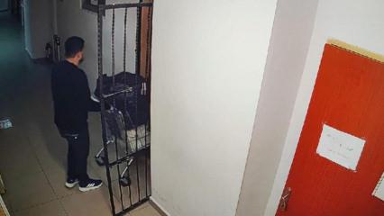 Son Dakika: Adli emanet soyguncusu Erdal Timurtaş i&ccedil;in kırmızı b&uuml;lten &ccedil;ıkarıldı