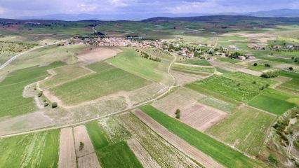 S&uuml;per Lig ekibine 55 d&ouml;n&uuml;ml&uuml;k arazinin tahsisi i&ccedil;in &ouml;n onay verildi