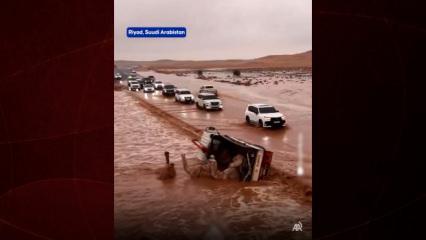 Suudi Arabistan şiddetli yağışlara teslim oldu