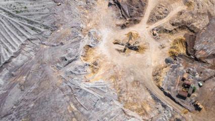 Suudi Arabistan'da dudak u&ccedil;uklatan keşif