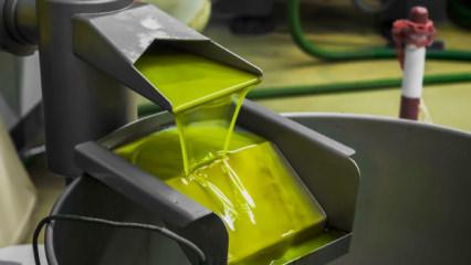 Tariş'ten zeytinyağına y&uuml;zde 35 zam kararı