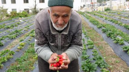 T&uuml;rkiye onu konuşmuştu! 'İbrahim Dede'den acı haber