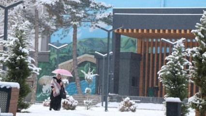 Van'da 90 yerleşim yeri ulaşıma kapanırken 2 il&ccedil;ede okullar tatil edildi