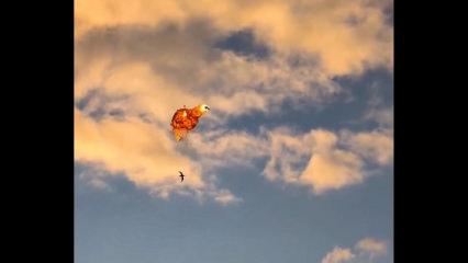 Zelenskiy, Rusya'nın 30 f&uuml;ze ve 450'den fazla İHA ile saldırı d&uuml;zenlediğini bildirdi