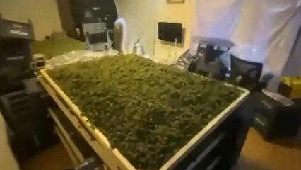 65 ilde uyuşturucu operasyonu: Bakan Yerlikaya paylaştı! 768 g&ouml;zaltı