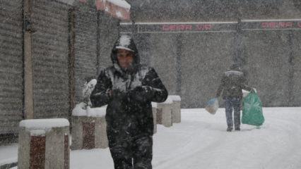 Van'da lapa lapa yağdı: 569 yerleşim yeri ulaşıma kapandı