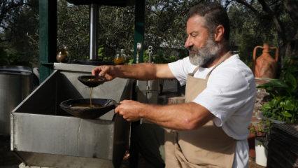 Kimyasal yok, sıcak su yok! Sadece zeytin değil şifa akıyor! Bilimsel olarak kanıtlandı!