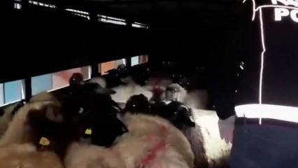 Siirt'te uyuşturucu operasyonu: K&uuml;&ccedil;&uuml;kbaşların karın boşluğuna gizlenmişler