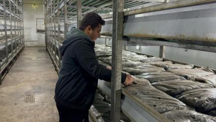 Memurluğu bıraktı k&ouml;y&uuml;ne d&ouml;nd&uuml;: Devlet desteğiyle hayatı değişti