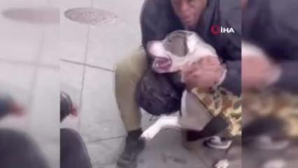 ABD&rsquo;de pitbull dehşeti: 1 yaşındaki &ccedil;ocuğun bacağını dakikalarca bırakmadı