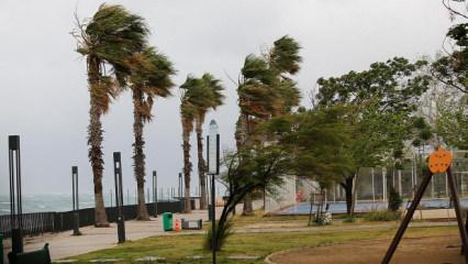 Akdeniz i&ccedil;in fırtına uyarısı