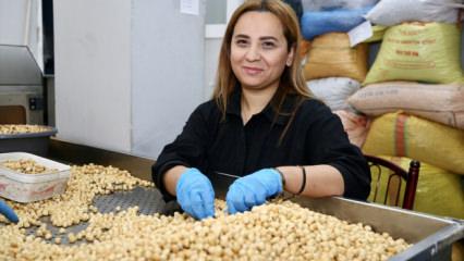 Devlet desteğiyle hayatı değişti: Muhasebeciydi patron oldu!