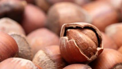 Fındık fiyatları y&uuml;kselişe ge&ccedil;ti