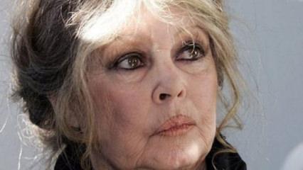 Fransız oyuncu Brigitte Bardot hayatını kaybetti 
