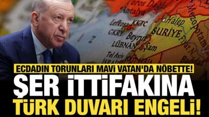 İsrail-Yunan-Rum ortaklığı T&uuml;rk duvarına &ccedil;arpıyor