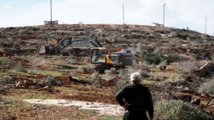 İsrail'den Batı Şeria'da &ccedil;evre ve hayvan katliamı