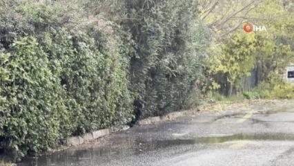 İstanbul donuyor! Sıcaklık bir anda d&uuml;şt&uuml;: Kar yağışı başladı....