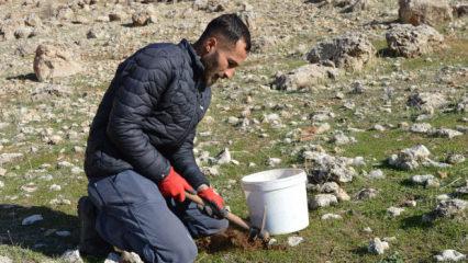 K&uuml;resel ısınmaya dikkat &ccedil;ekti! 2 yılda 20 binden fazla tohum ekip, fidan dikti