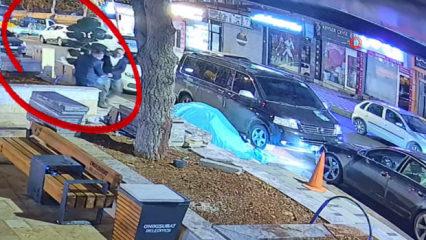 Kahramanmaraş'ta l&uuml;ks ara&ccedil;la gelip parktaki ağacı &ccedil;aldılar